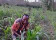 Seidu