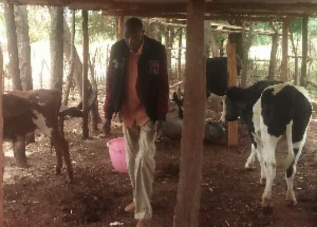 Listing image gallery