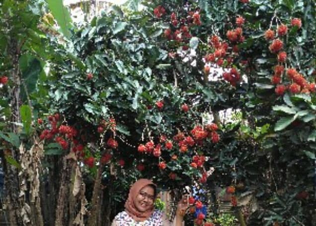 Listing image gallery