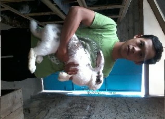 Listing image gallery