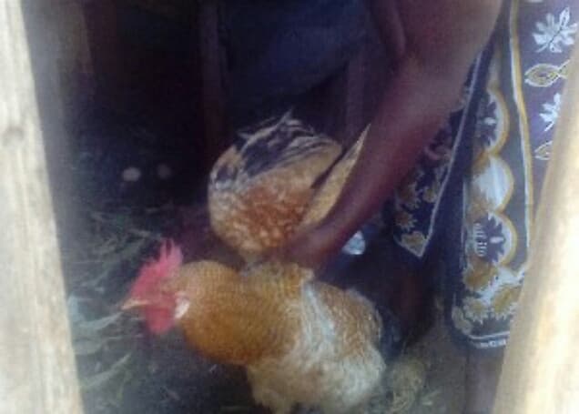 Listing image gallery