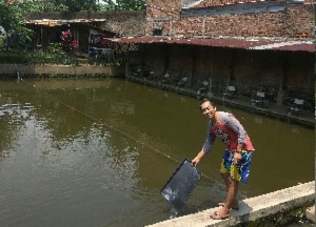 Listing image gallery