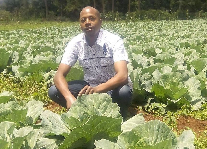 Listing image gallery