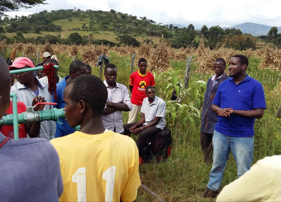 Listing image gallery