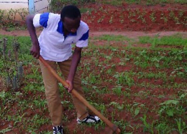 Listing image gallery