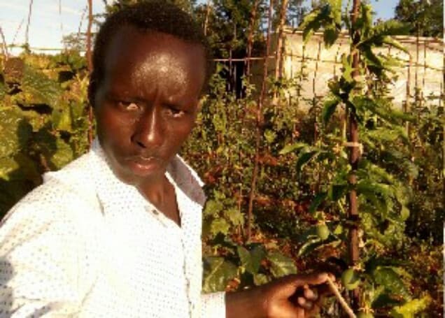 Listing image gallery