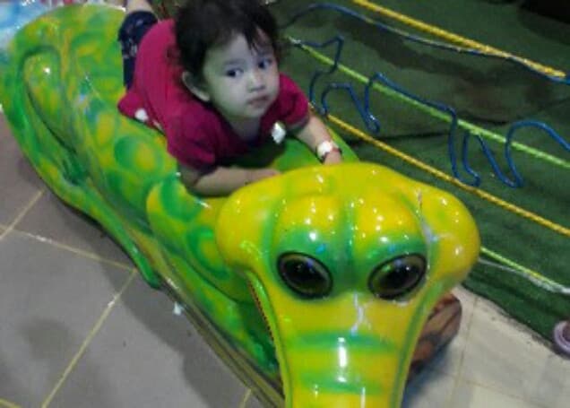 Listing image gallery