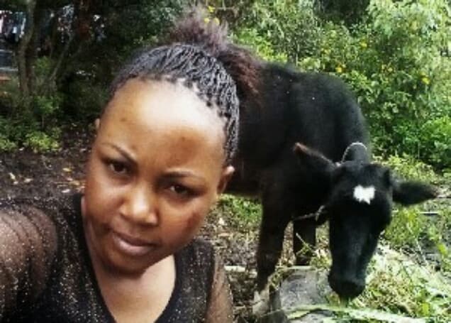 Listing image gallery