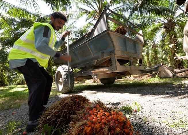 Listing image gallery