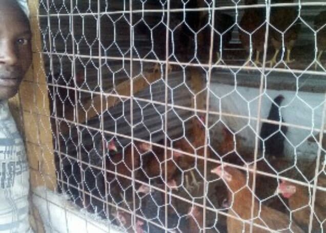 Listing image gallery