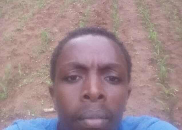 Listing image gallery