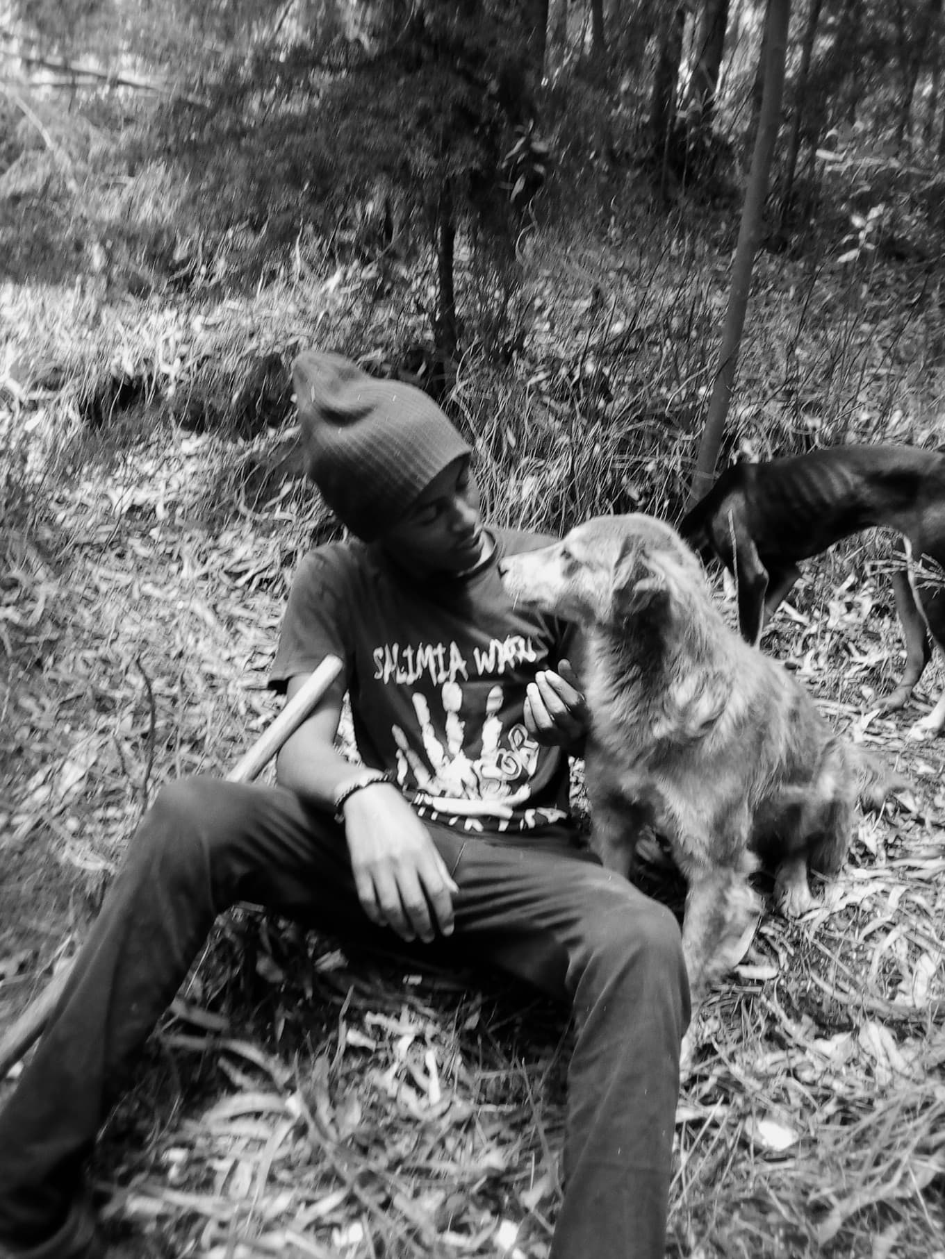 Listing image gallery