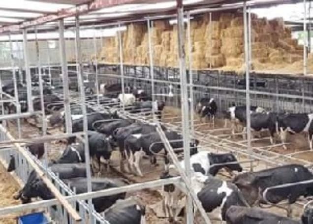 Listing image gallery