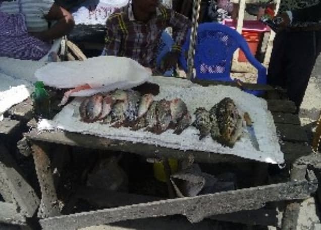 Listing image gallery