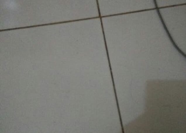 Listing image gallery