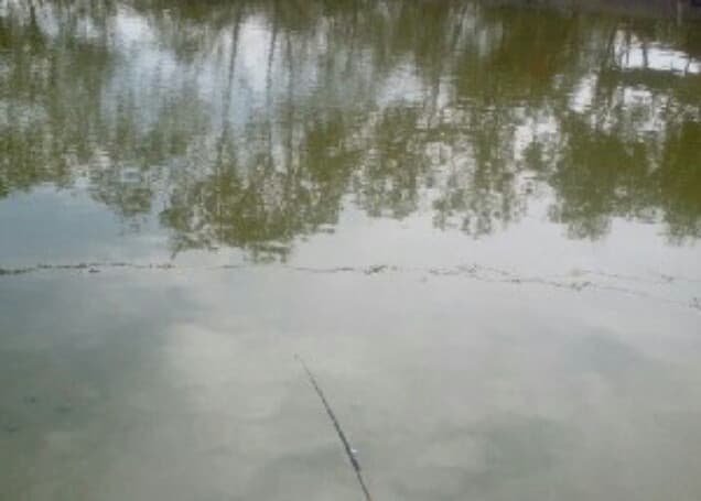 Listing image gallery