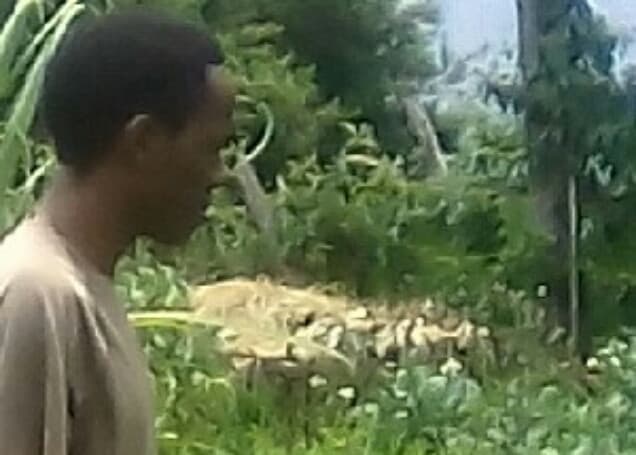 Listing image gallery