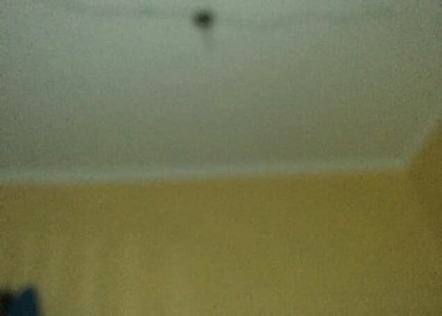 Listing image gallery