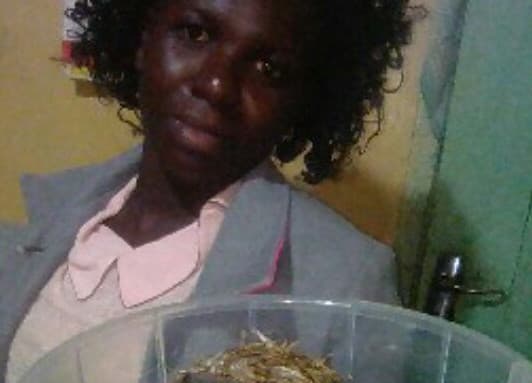 Listing image gallery