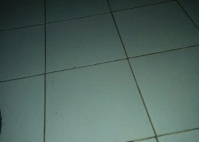 Listing image gallery