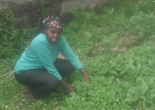 Listing image gallery