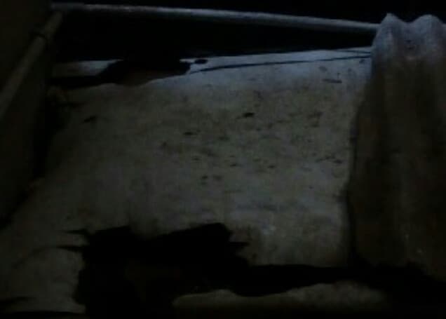 Listing image gallery