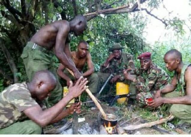 Listing image gallery