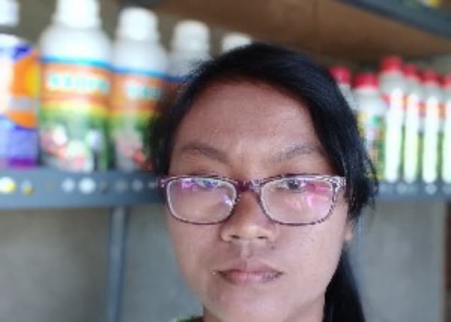 Listing image gallery