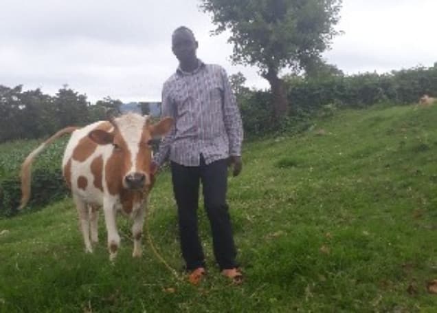 Listing image gallery