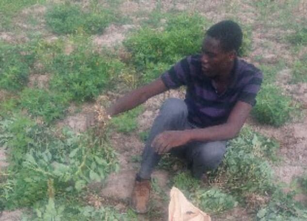 Listing image gallery