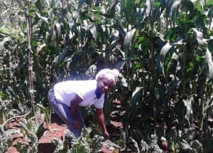 Listing image gallery