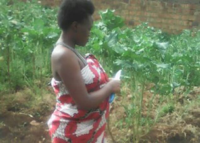 Listing image gallery