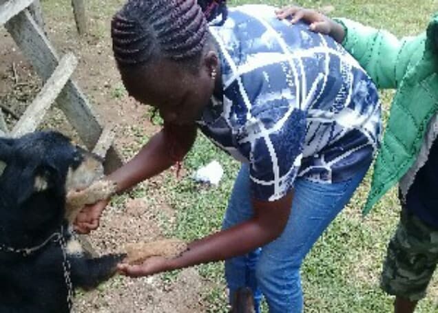 Listing image gallery