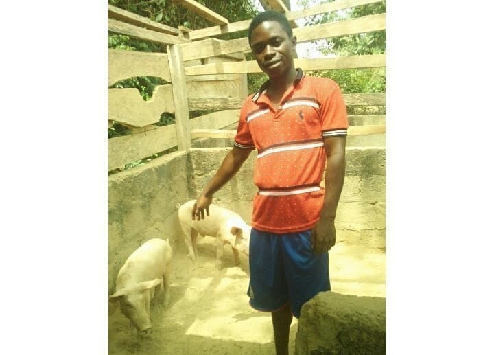 Listing image gallery