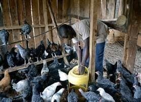 Listing image gallery