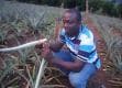 Oppong