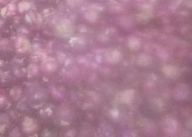 Listing image gallery