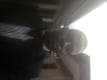 John Doe