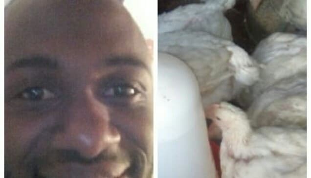 Listing image gallery