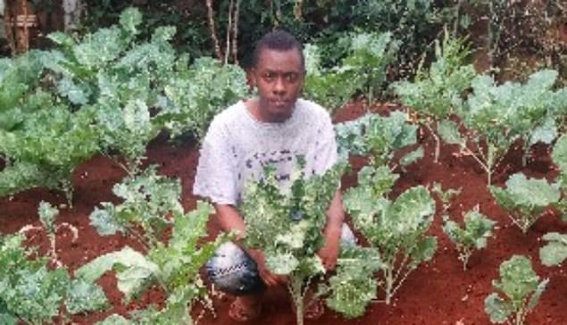 Listing image gallery