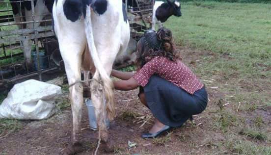 Listing image gallery