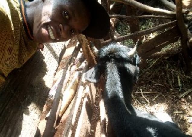 Listing image gallery