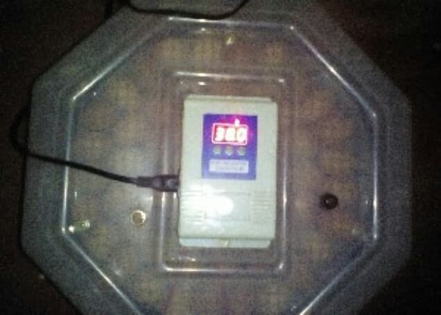 Listing image gallery