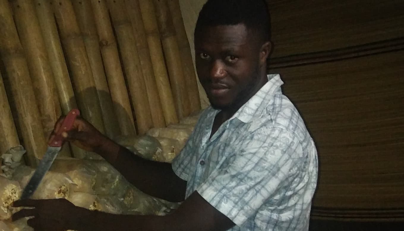 Listing image gallery