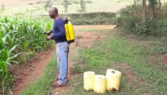 Listing image gallery