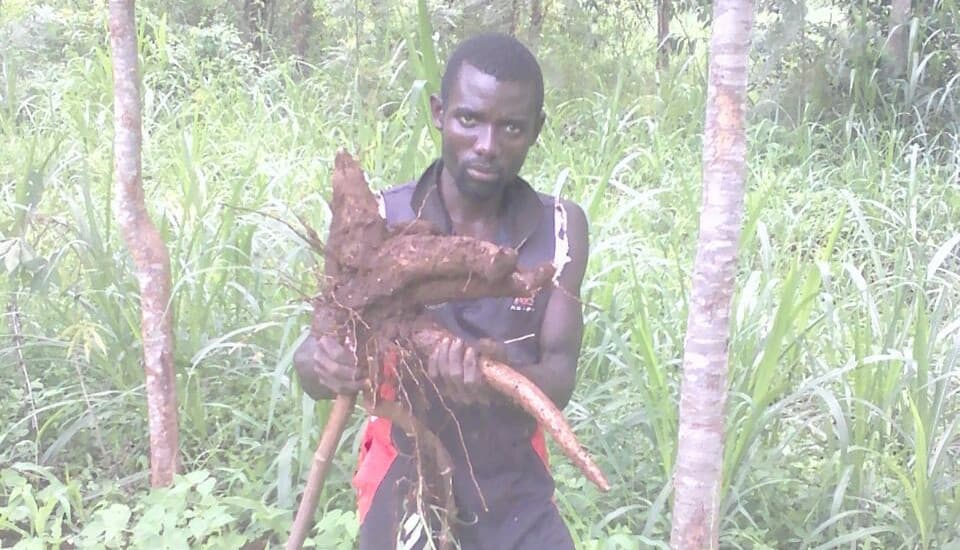 Listing image gallery