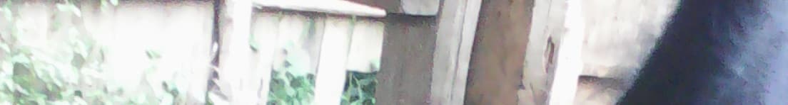 Listing image gallery