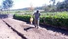 Francis Ndonga