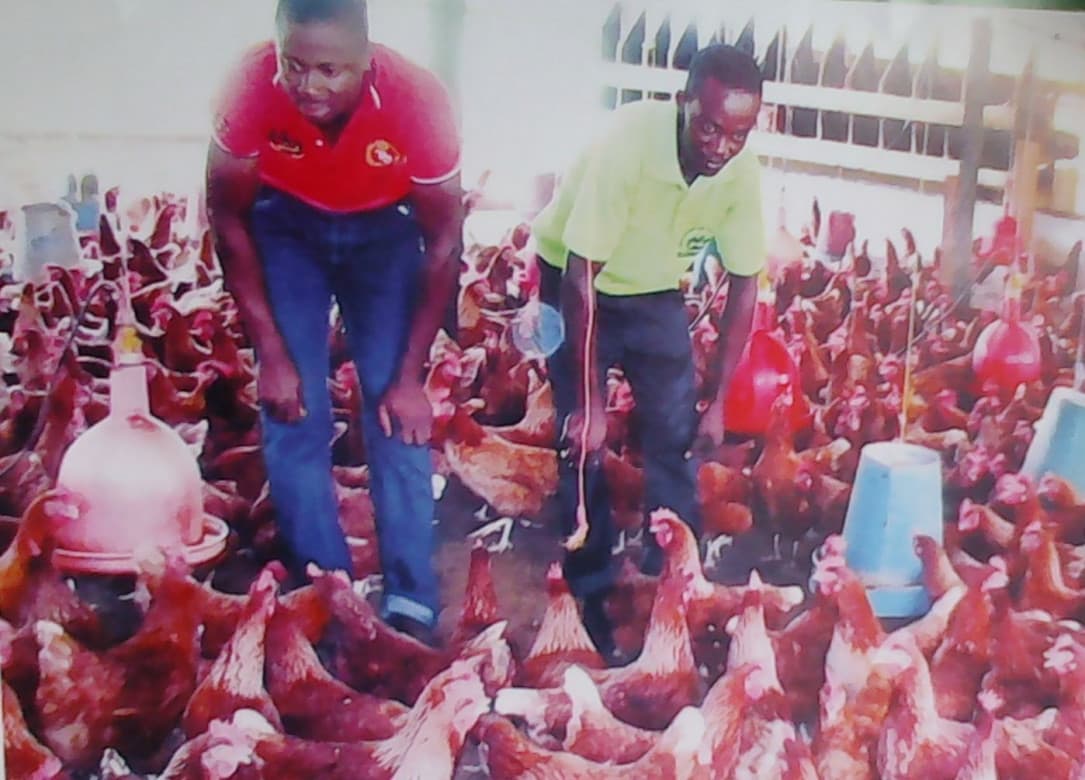 Listing image gallery