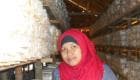 Mardiana